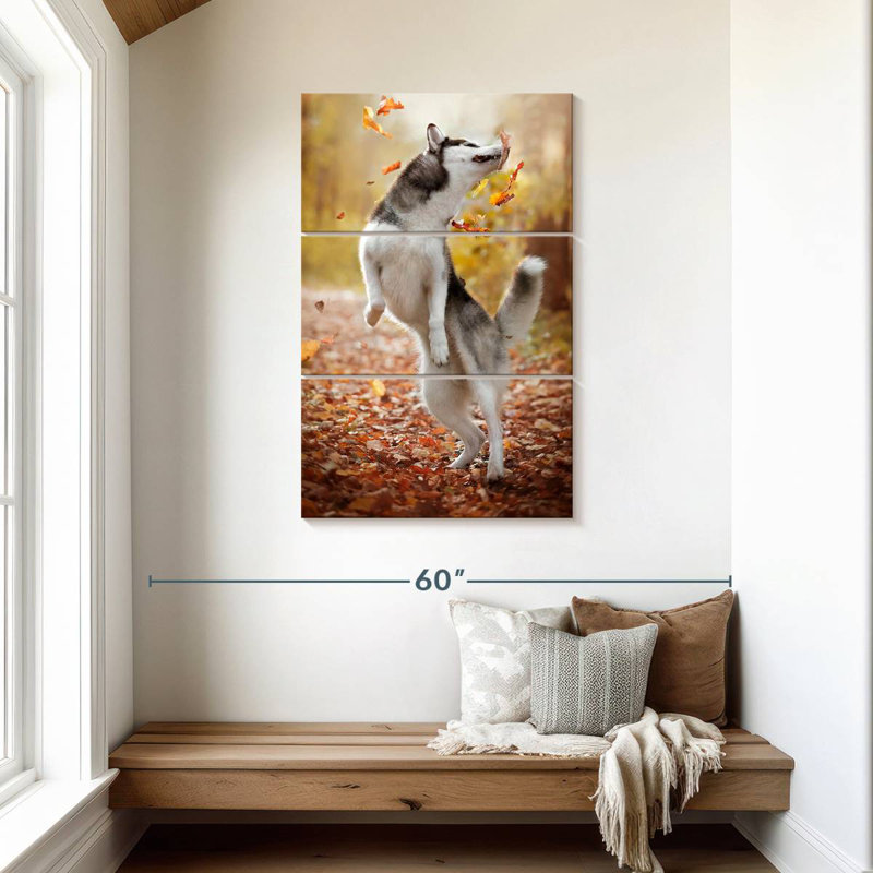 Brampt Autumn Husky Playing, 45" H x 28" W
