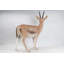 Statue de gazelle