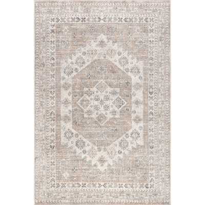 Halltown Tradtional Vintage Area Rug