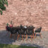 Alyisa 8 - Person Wood Patio Dining Set with Rectangular Table