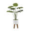 Arbre de Philodendron artificiel en pot 19,75 po Galles