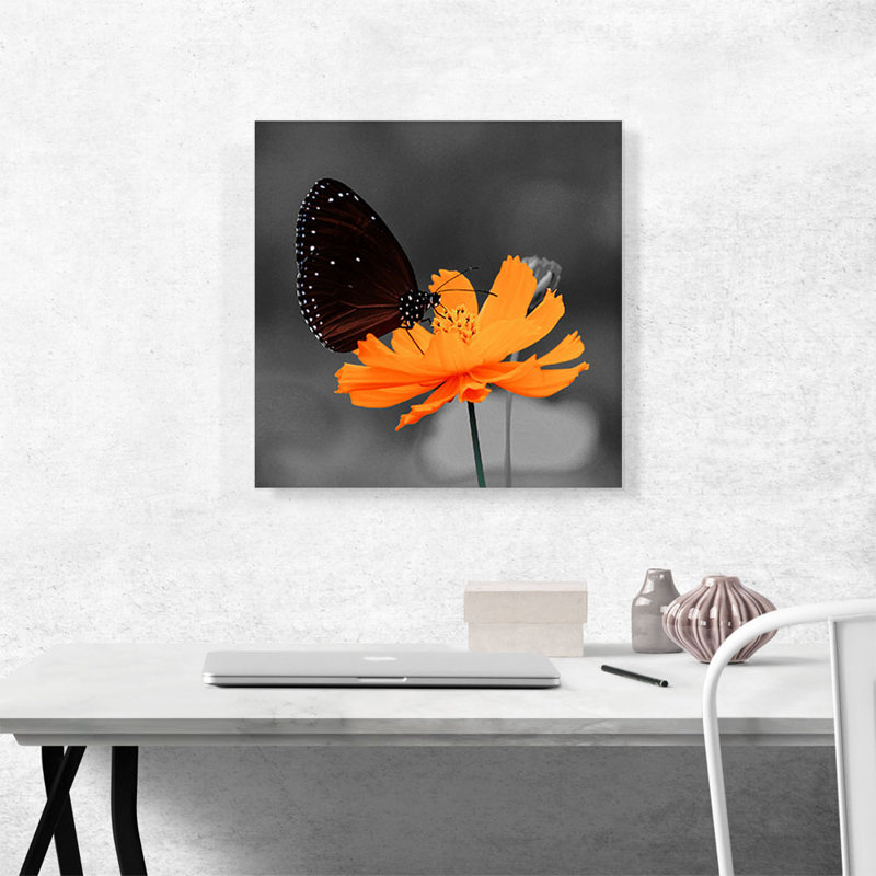 «Monarch Butterfly on Orange Flower», impression sur toile tendue, H 18 po x l 18 po x P 0,75 po