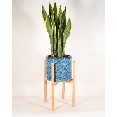 Heitz Ceramic Pot Planter