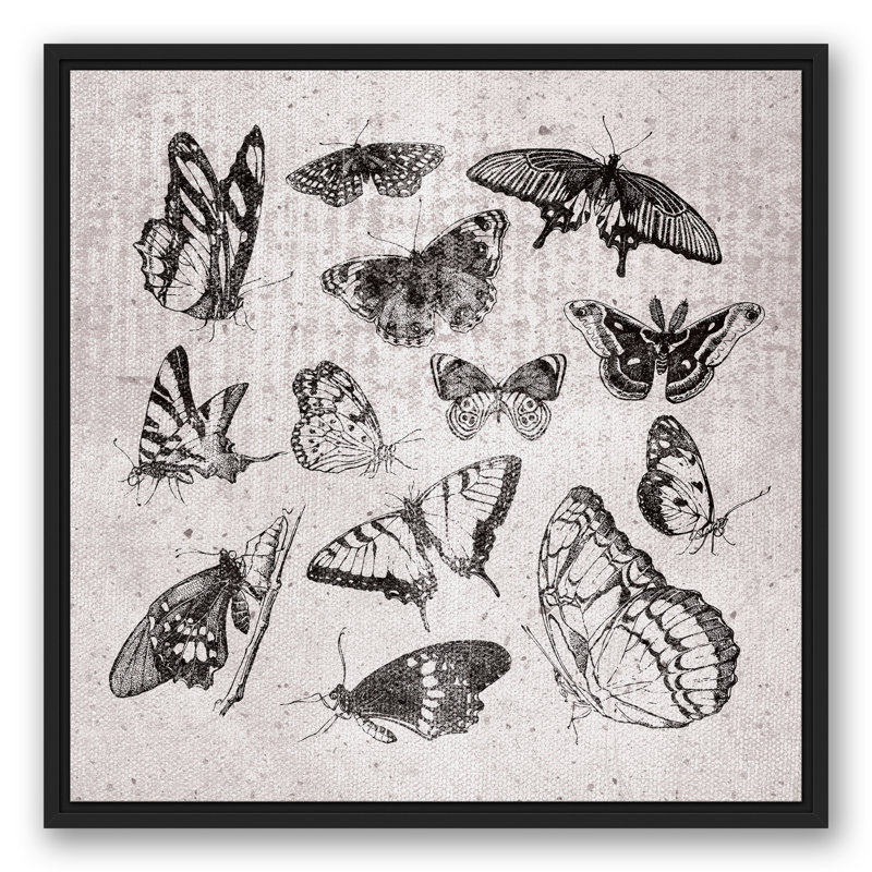 «Grayscale Butterflies», reproduction sur toile, L 25,75 po x H 25,75 po