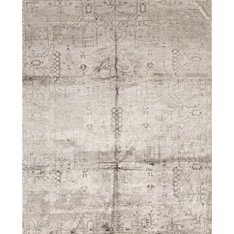 Neo Oriental Area Rug in Beige/Khaki