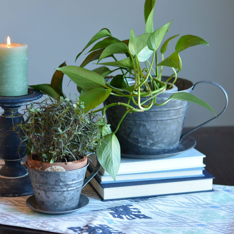 Ensemble de pots à fleurs Aleiha
