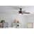 52'' Ceiling Fan with LED Lights-894715741
