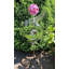 Ruislip Metal Abstract Gazing Ball