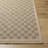 Abbie Machine Woven Checkered Area Rug-2124115816