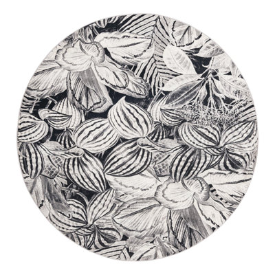 Herington Floral Indoor Rug