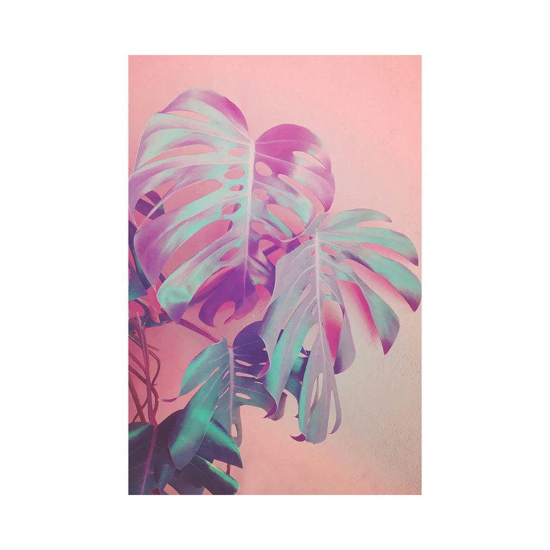 Growing Monstera 1 Piece Wrapped Canvas Painting, 30.48 cm H x 45.72 cm W