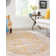 Saphira Chenille Oriental Indoor Rug