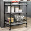 Newfolden Metal Bar Cart-1993835342