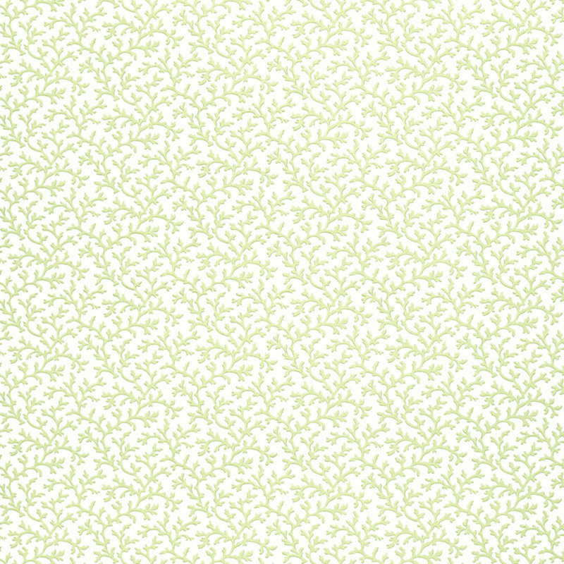 Papier peint Coral Vine, Aloès