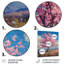 Décoration florale de cerisier rose bleu - III-1636881409-1874925154