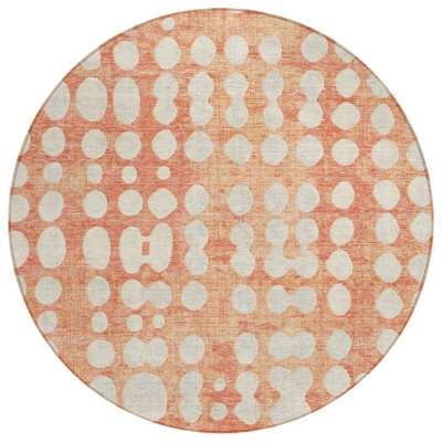 Zakye Indoor / Outdoor Rug