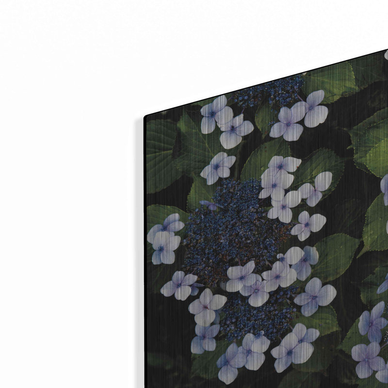 Hydrangeas Ouverture par Debra Van Swearingen, H 12 po x l 16 po