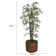 Panama 85'' Faux Bamboo Tree in Fiberstone Planter