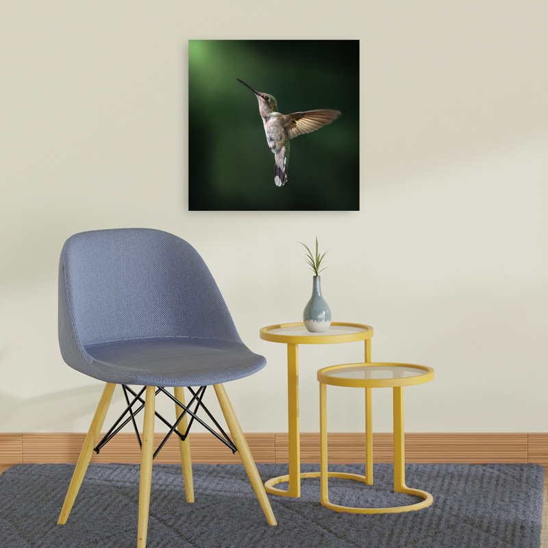 Delicate Hummingbird Hover Delicate Elegant Peaceful Hummingbird Bird Nature Wildlife Wall Art Print by Atul Saluja - Print
