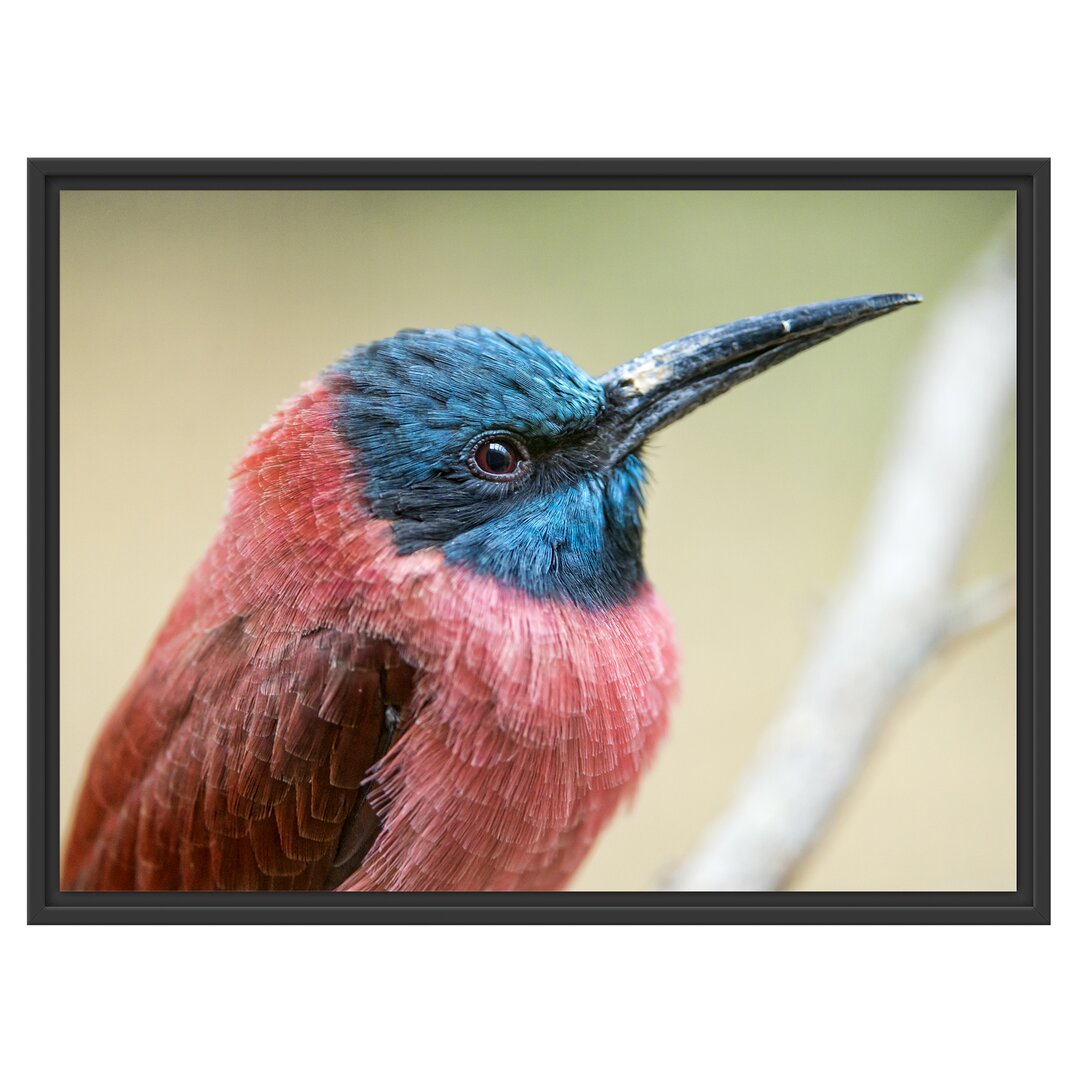 Gerahmtes Wandbild kleiner tropischer Vogel