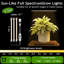 Support d'angle pour plantes d'intérieur