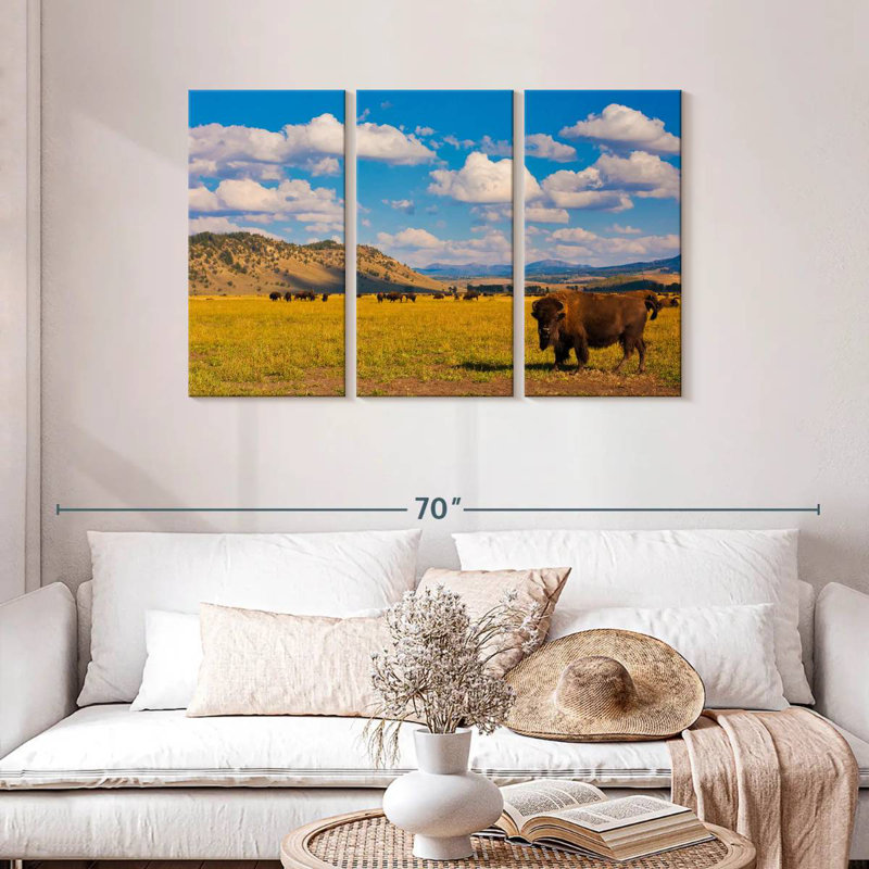 Bison de Brampt dans le parc national, H 24 po x l 38 po