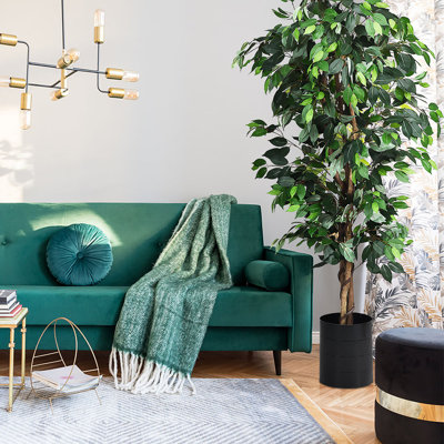 Coffres décoratifs pour bureau en ficus artificiel 6 pi Primrue