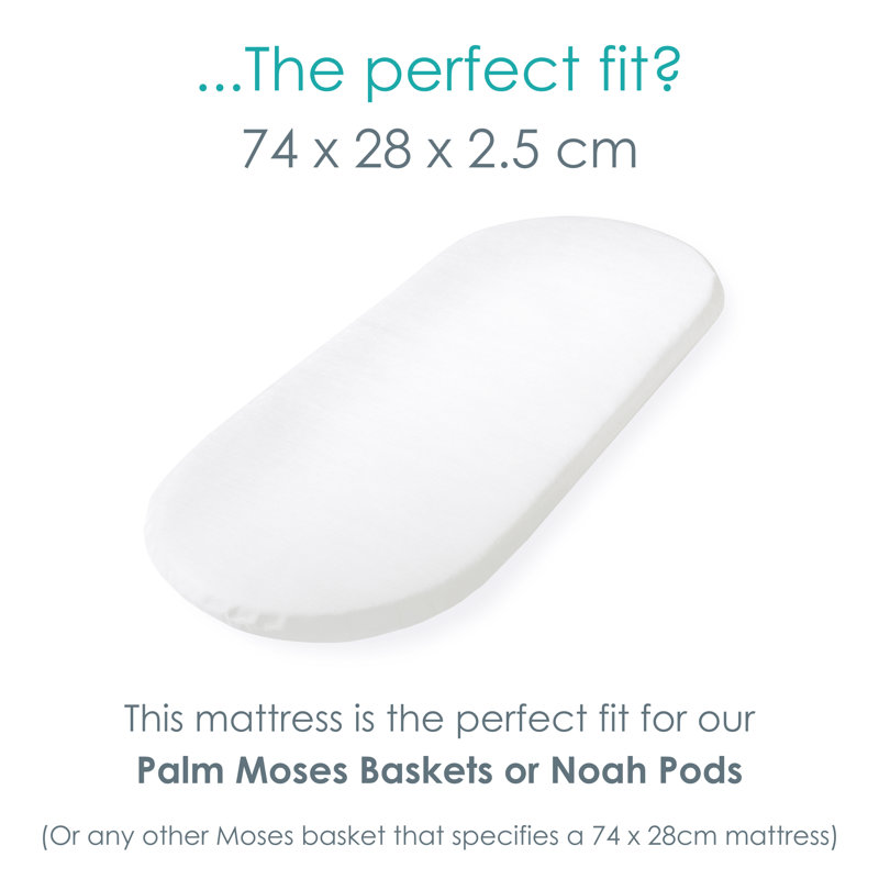 Clair De Lune Foam Mattress, Moses Basket (28 x 74cm)