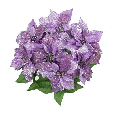 Arbuste faux poinsettias à 7 tiges