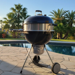 Electric Rotisserie Kit for Weber 22.5" Kettle Grills, Heavy-Duty BBQ Chicken Roaster with 110V Motor & Stainless Steel Spit Rod