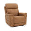 RC Recliner-860695719