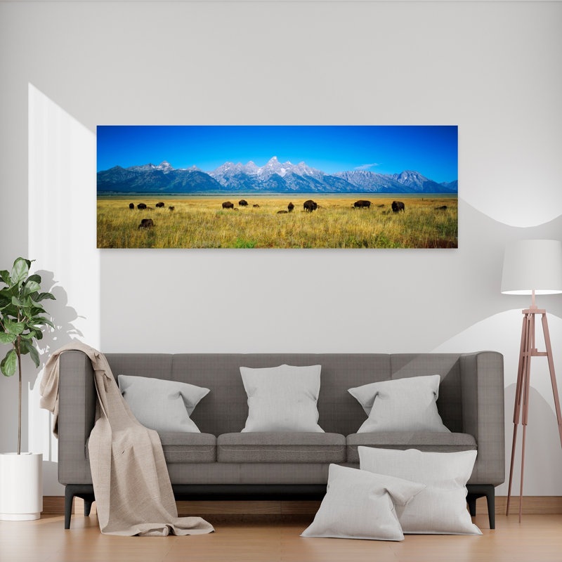 Field Of Bison With Mountains In Background Grand Teton National Park Wyoming USA by Appropriate Photography - Wrapped Canvas Panoramic Print