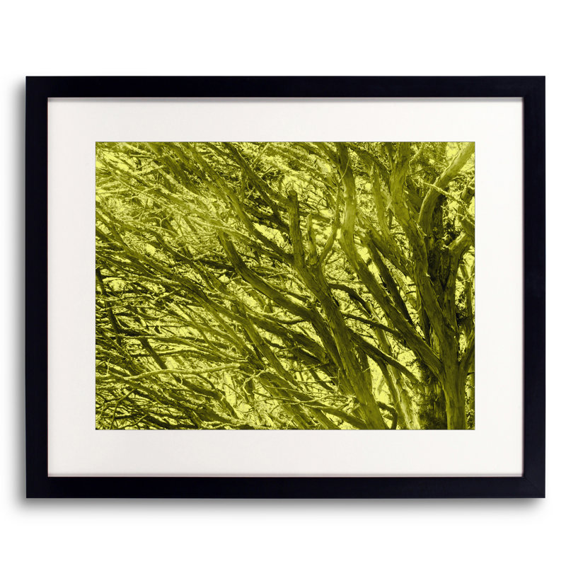 Dusk As Dawn Print by Drew Gaffney, Black Framed Paper, 30" H x 24" W