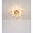 Flush Mount Ceiling Light