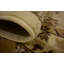 Tapis ivoire / beige Eesi-19393448