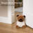 Decorative Pug Door Stopper, 2.3 lb Weighted, Brown/Ecru