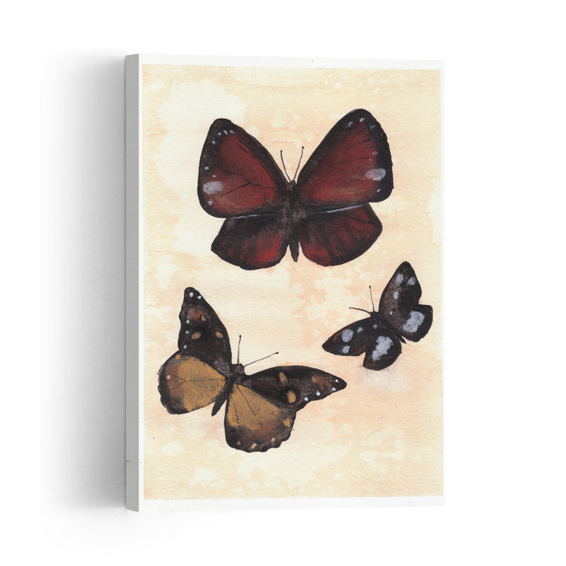 Divers papillons - Affiche murale contemporaine - Papillon de nuit, H 24 po x l 16 po