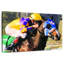 Course de chevaux-439903890