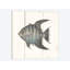 « fish sketches ii shiplap », impression sur toile-72478938-72478943-27896174