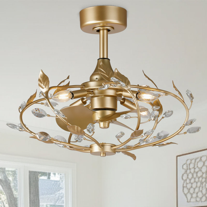 Ventilateur de plafond en cage de 24 po avec ensemble d'éclairage et télécommande