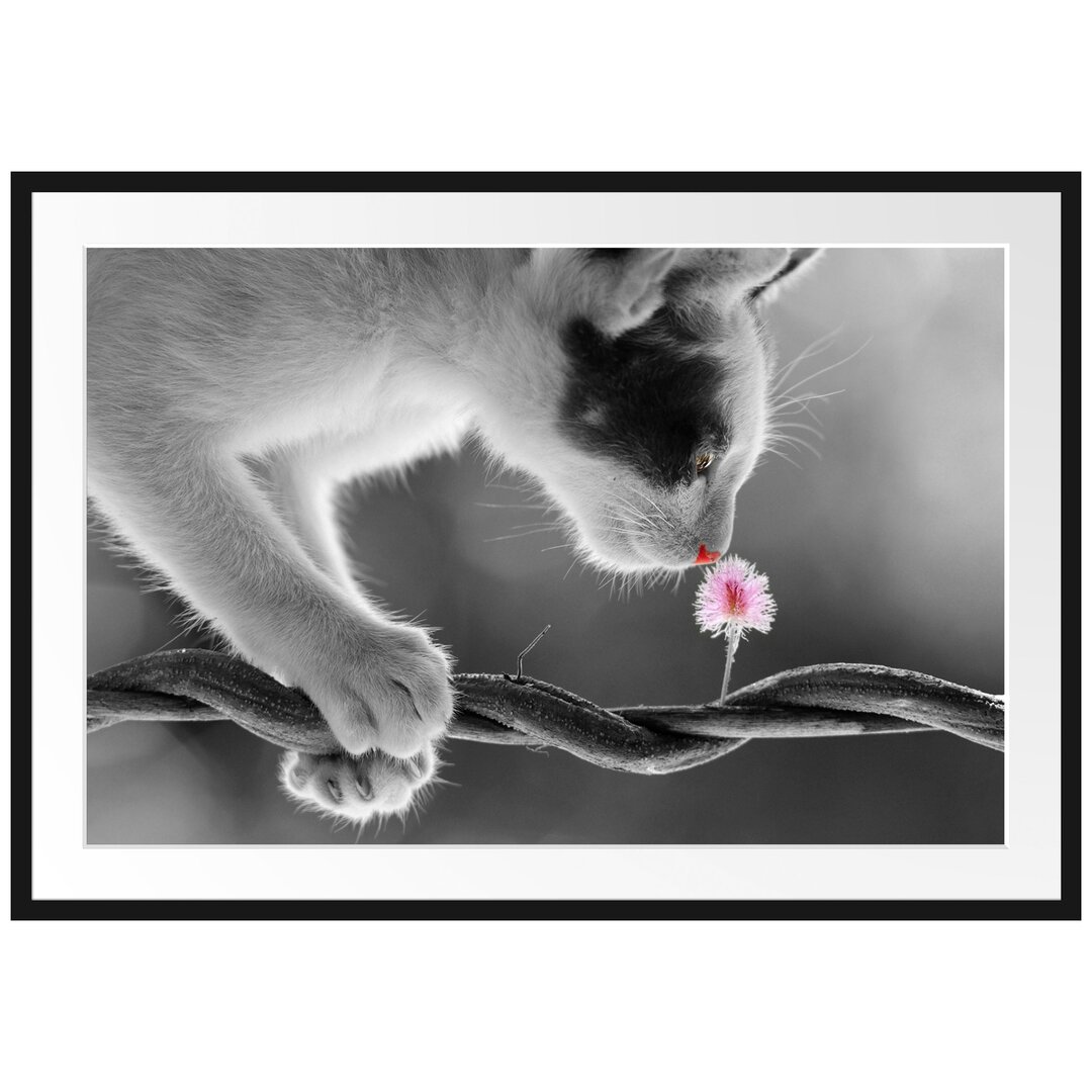 Gerahmtes Poster Niedliche Katze mit Blüte