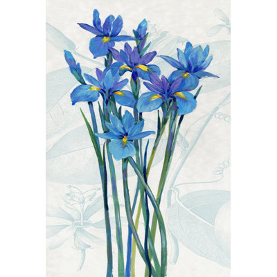 " Blue Iris Panel I " by Timothy O' Toole Painting Print