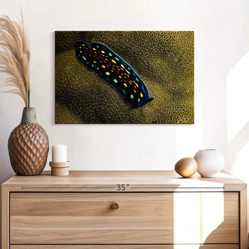 Linda's Flatworm, 16" H x 24" W