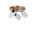 Rose Gold/Black