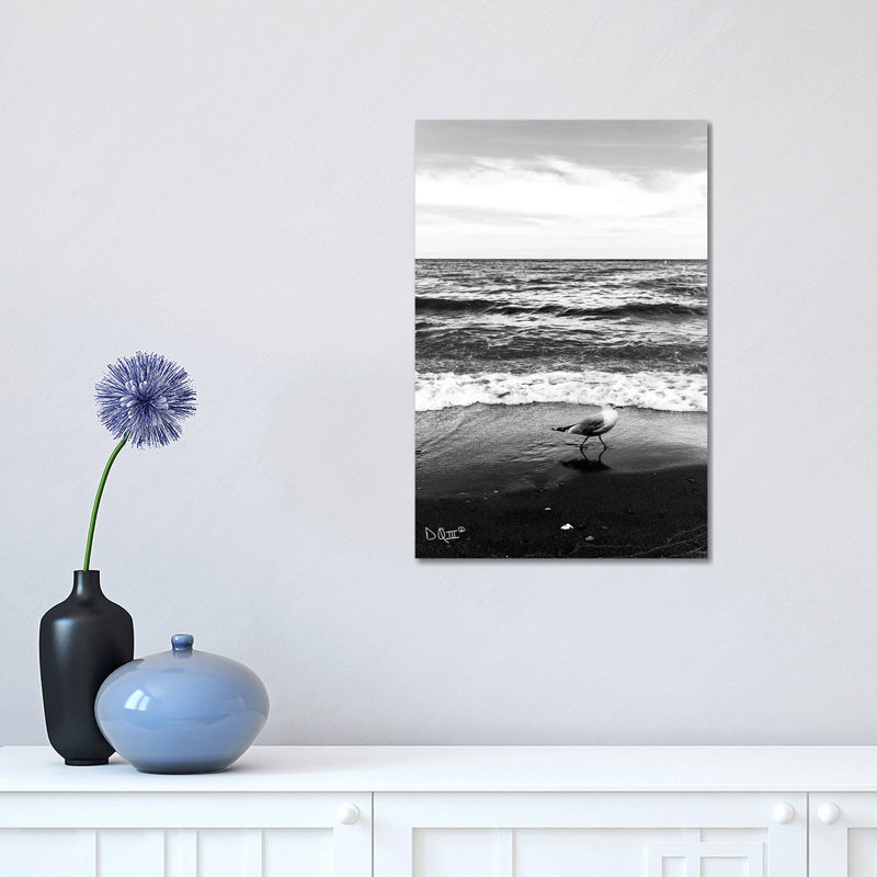Seagull I by Donnie Quillen - Print on Canvas, Wrapped Canvas, 45.72cm H x 30.48cm W x 1.91cm D