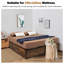 Boyadjis Storage Bed-1056758786