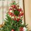 Guirlande de Noël Miluhome