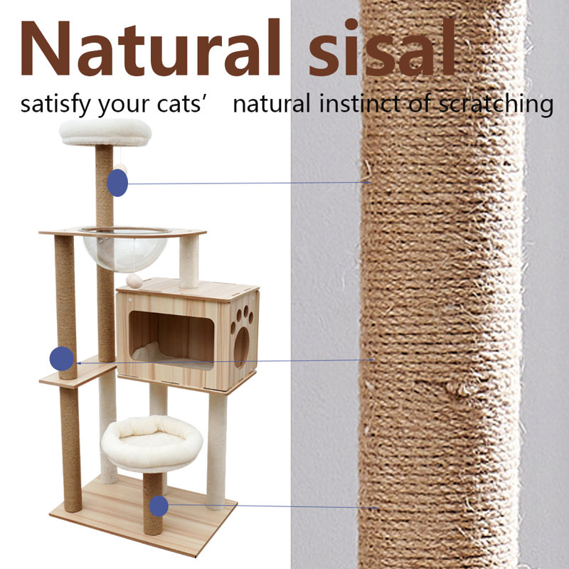 Edolia 53'' H Cat Tree