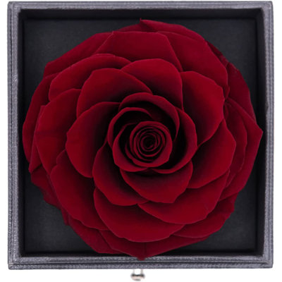 Primrue Eternal Preserved Real Rose with Silver-Tone Double Heart Necklace for Mother's Day Anniversary