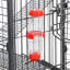 Cage à souris avec rampe Glisson-1184624144-1104273729